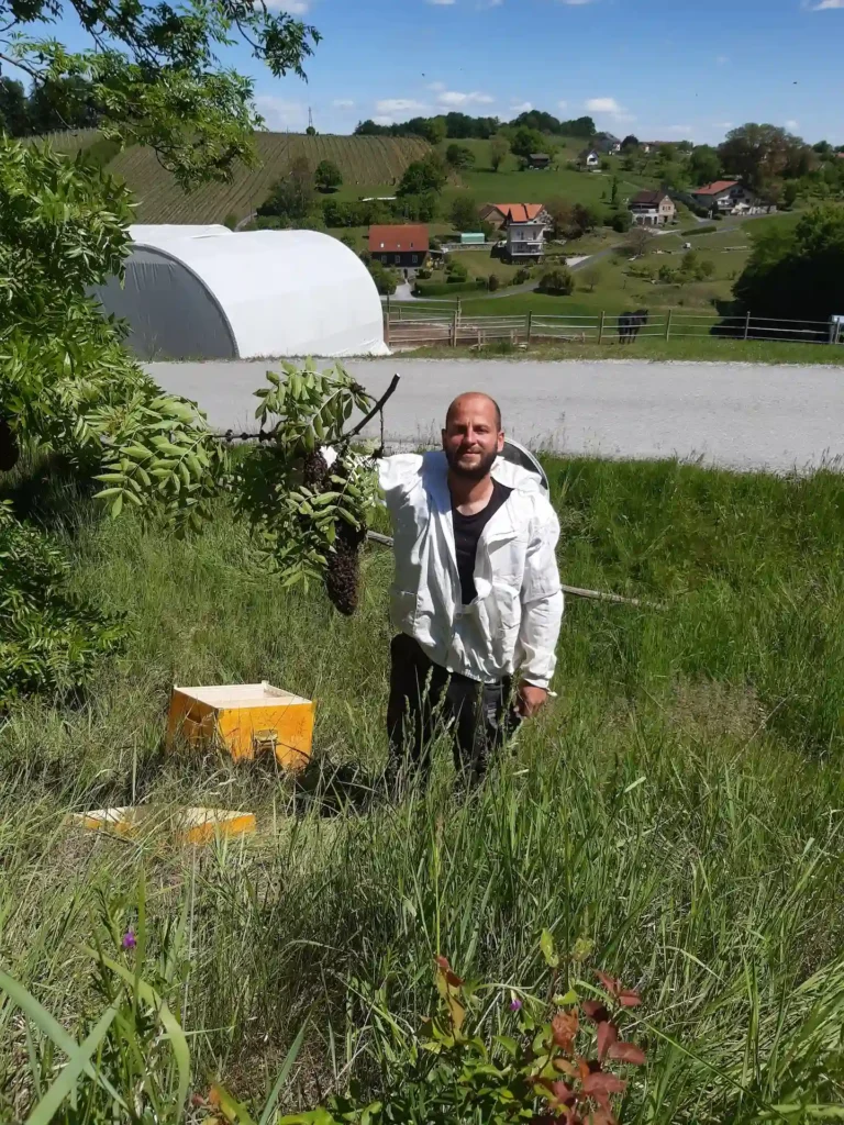 Bienenschwarm-1