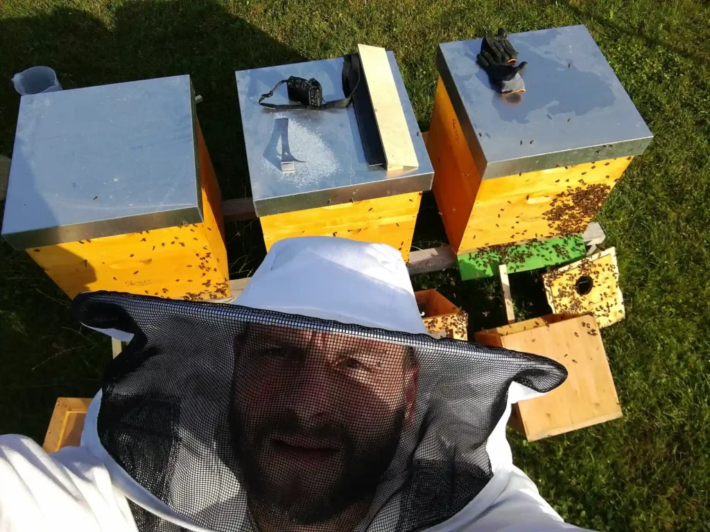 Ersten-Bienenstoecke-4