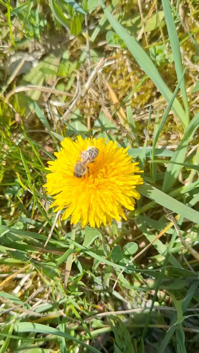Instagram-Beitrag 18061743821116133