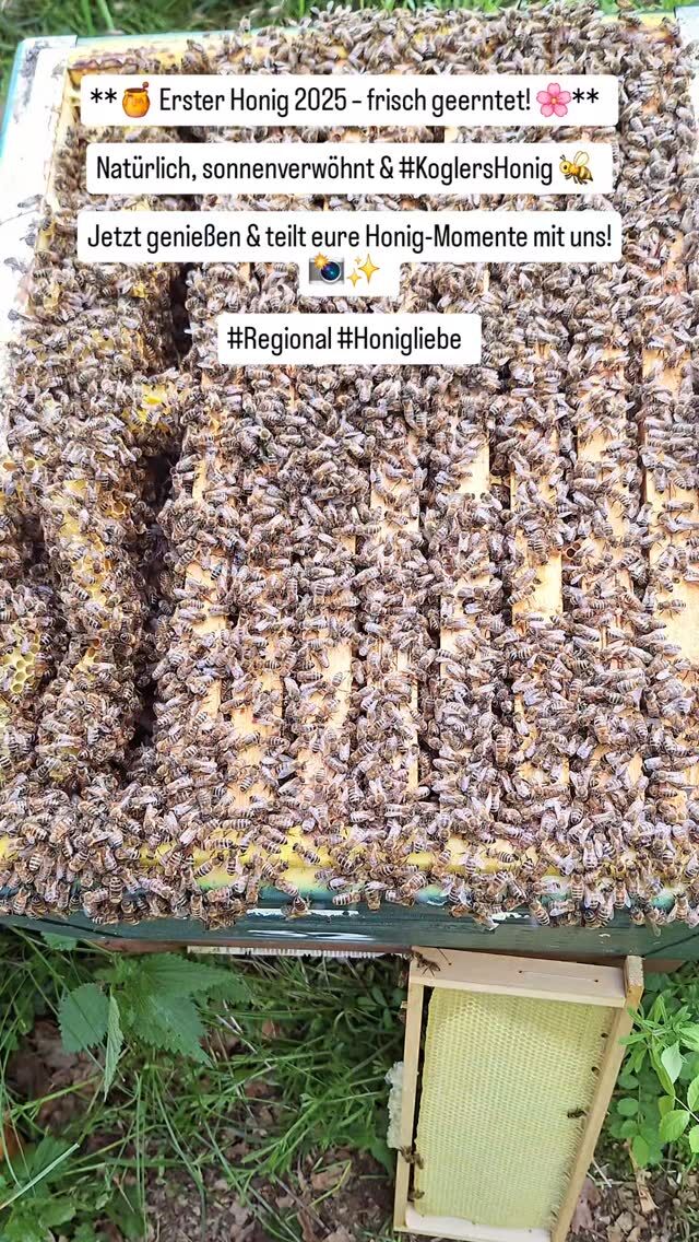 Instagram-Beitrag 18137513233402683