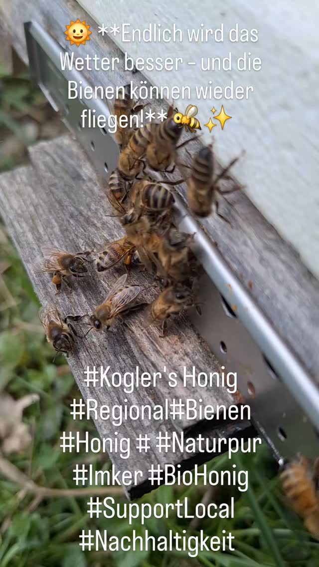 Instagram-Beitrag 17961744548920056
