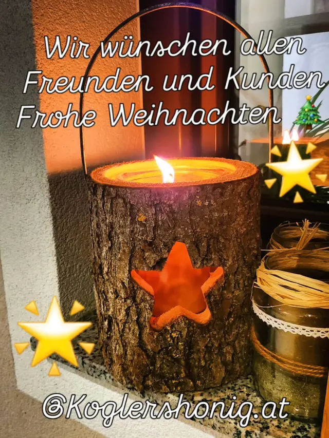 🌟🎄🌟🎄🌟🎄🌟🎄🌟🎄🌟🎄🌟🎄🌟🎄🌟